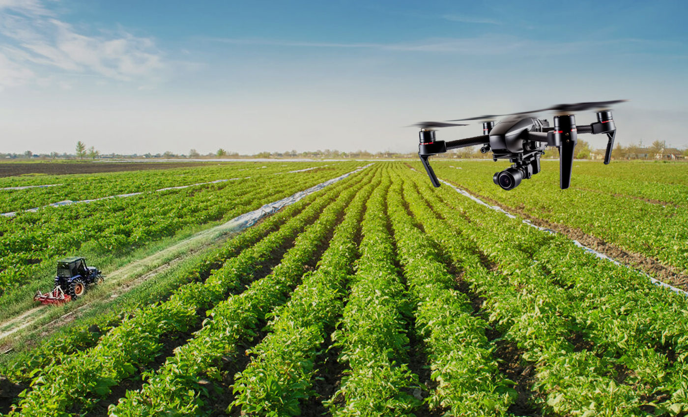 Tecno agricultura orgánica del Café